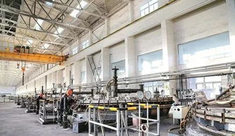 我縣一企業(yè)總經(jīng)理獲國務(wù)院政府特殊津貼