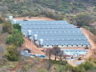 天水市清水縣草川鋪鎮(zhèn):聚力&ldquo;五個聚焦&rdquo; 助力村集體經(jīng)濟(jì)發(fā)展提質(zhì)增效