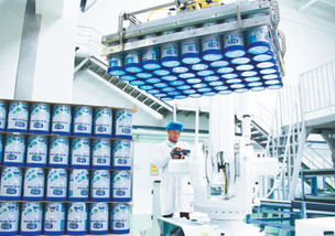 以高質量發展拓展大市場